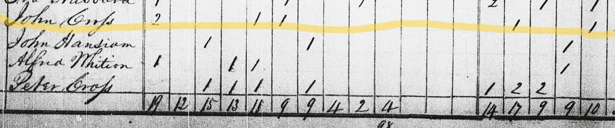 NYCensusJohnCrosse (300K)